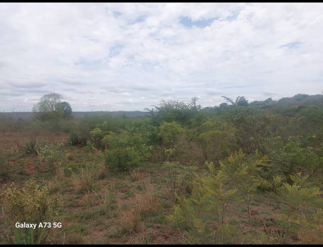 8,000M² VACANT LAND FOR SALE IN MUTOTI